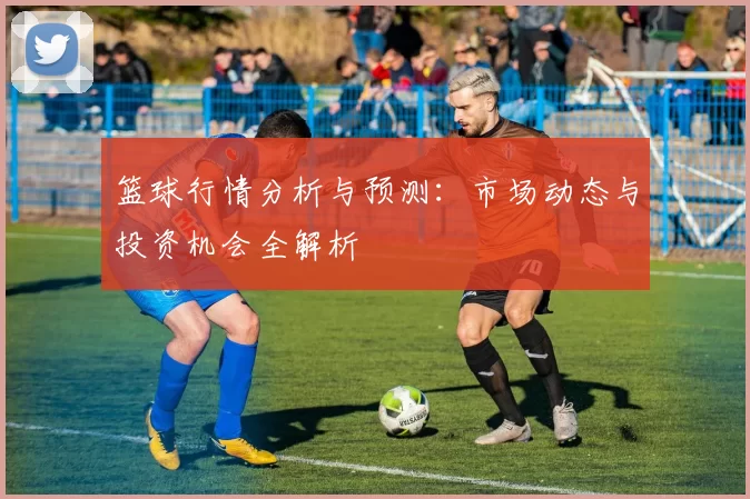篮球行情分析与预测：市场动态与投资机会全解析
