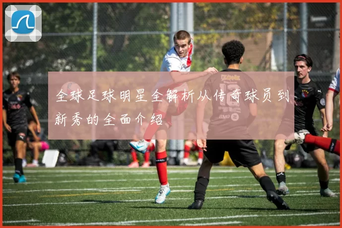 全球足球明星全解析从传奇球员到新秀的全面介绍
