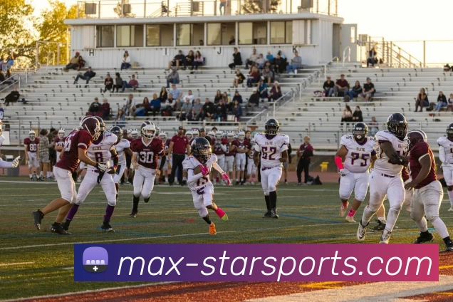 StarrySky Sports平台生态图